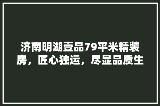 济南明湖壹品79平米精装房，匠心独运，尽显品质生活