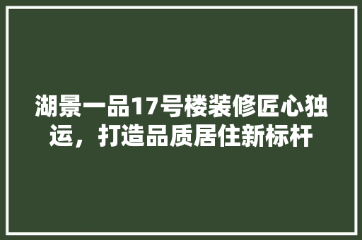 湖景一品17号楼装修匠心独运，打造品质居住新标杆