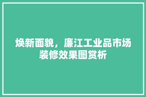 焕新面貌，廉江工业品市场装修效果图赏析