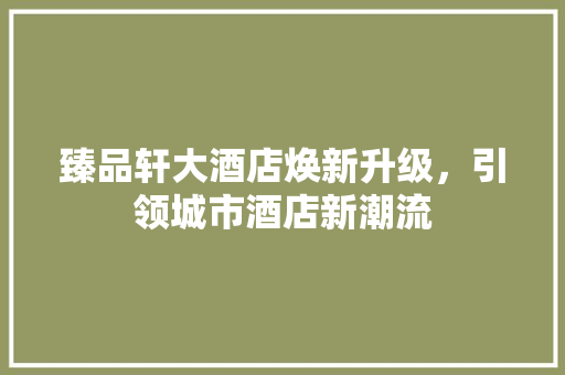 臻品轩大酒店焕新升级，引领城市酒店新潮流 新型材料