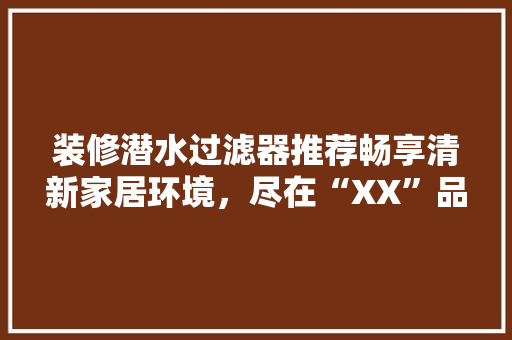 装修潜水过滤器推荐畅享清新家居环境，尽在“XX”品牌