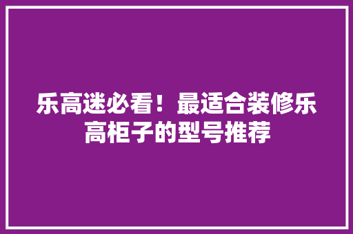 乐高迷必看！最适合装修乐高柜子的型号推荐