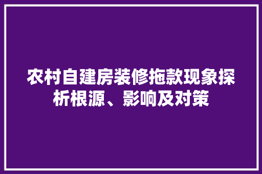 农村自建房装修拖款现象探析根源、影响及对策