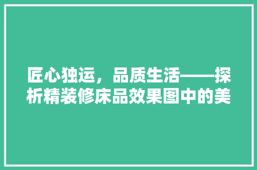 匠心独运，品质生活——探析精装修床品效果图中的美学与适用