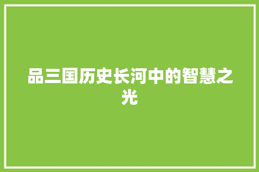 品三国历史长河中的智慧之光