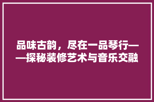 品味古韵，尽在一品琴行——探秘装修艺术与音乐交融的空间