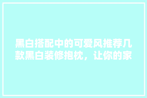 黑白搭配中的可爱风推荐几款黑白装修抱枕，让你的家居生活更有趣！