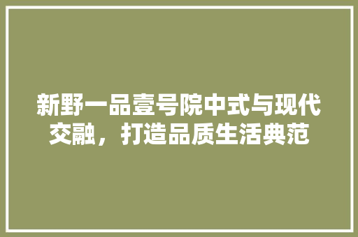 新野一品壹号院中式与现代交融，打造品质生活典范