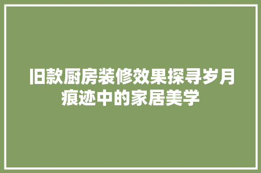 旧款厨房装修效果探寻岁月痕迹中的家居美学