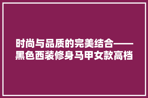 时尚与品质的完美结合——黑色西装修身马甲女款高档 公共建筑设计