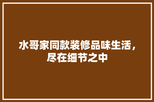 水哥家同款装修品味生活，尽在细节之中