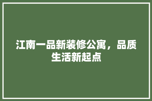 江南一品新装修公寓，品质生活新起点