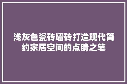浅灰色瓷砖墙砖打造现代简约家居空间的点睛之笔