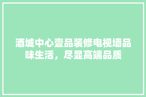 酒城中心壹品装修电视墙品味生活，尽显高端品质