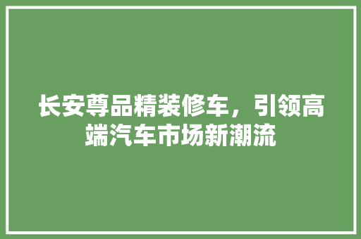 长安尊品精装修车，引领高端汽车市场新潮流