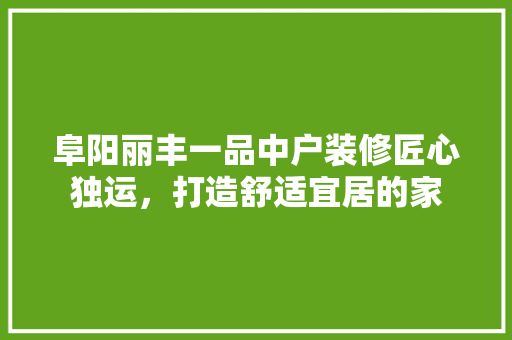 阜阳丽丰一品中户装修匠心独运，打造舒适宜居的家