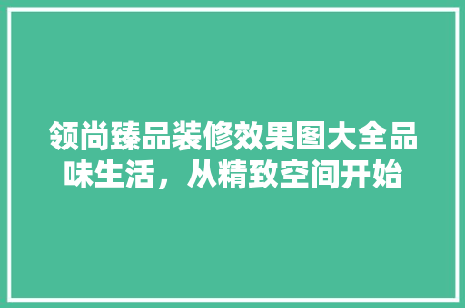 领尚臻品装修效果图大全品味生活，从精致空间开始