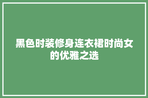 黑色时装修身连衣裙时尚女的优雅之选