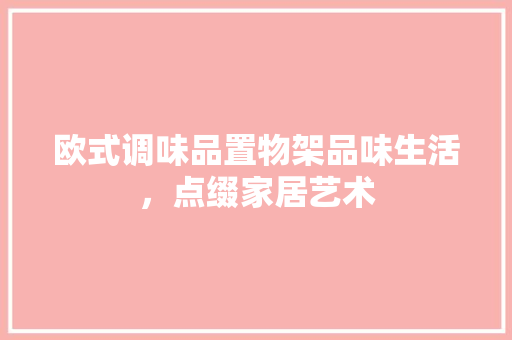 欧式调味品置物架品味生活，点缀家居艺术