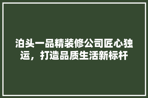 泊头一品精装修公司匠心独运，打造品质生活新标杆