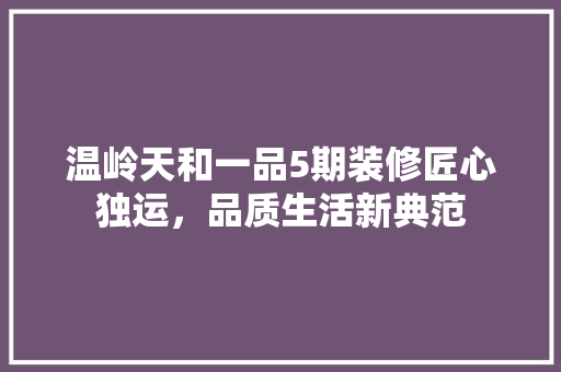 温岭天和一品5期装修匠心独运，品质生活新典范 施工工艺