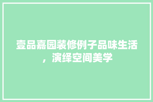 壹品嘉园装修例子品味生活，演绎空间美学