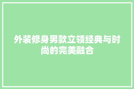 外装修身男款立领经典与时尚的完美融合