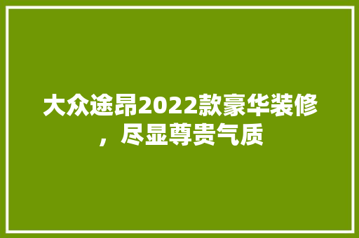大众途昂2022款豪华装修，尽显尊贵气质