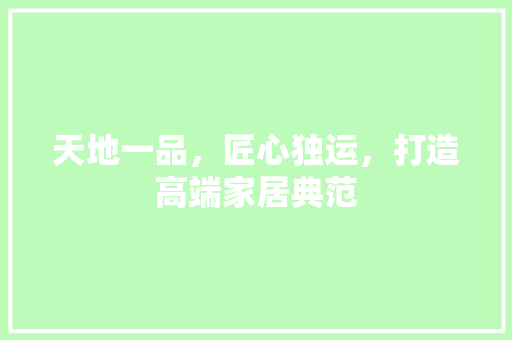 天地一品，匠心独运，打造高端家居典范