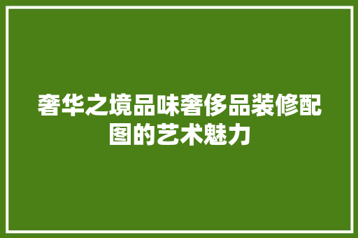 奢华之境品味奢侈品装修配图的艺术魅力