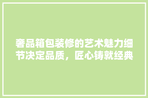 奢品箱包装修的艺术魅力细节决定品质，匠心铸就经典