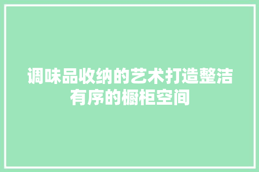 调味品收纳的艺术打造整洁有序的橱柜空间