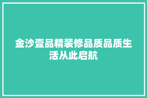 金沙壹品精装修品质品质生活从此启航