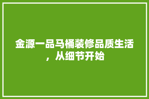 金源一品马桶装修品质生活，从细节开始
