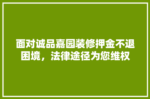 面对诚品嘉园装修押金不退困境，法律途径为您维权