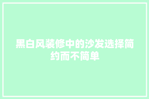 黑白风装修中的沙发选择简约而不简单