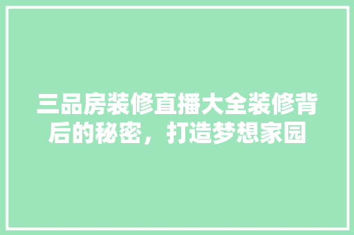三品房装修直播大全装修背后的秘密，打造梦想家园