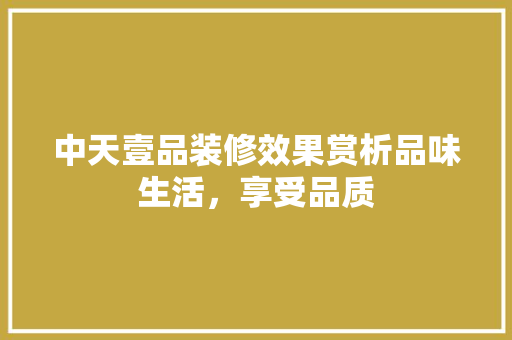 中天壹品装修效果赏析品味生活，享受品质