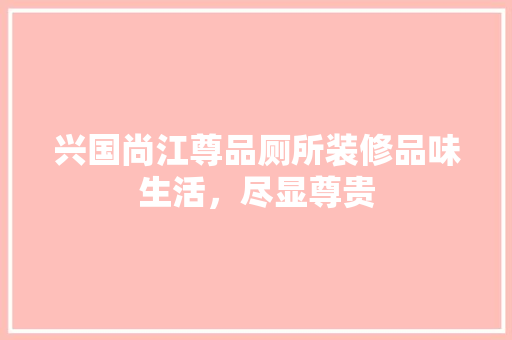 兴国尚江尊品厕所装修品味生活，尽显尊贵