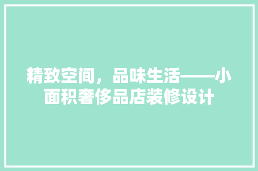 精致空间，品味生活——小面积奢侈品店装修设计