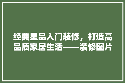 经典星品入门装修，打造高品质家居生活——装修图片大全解读
