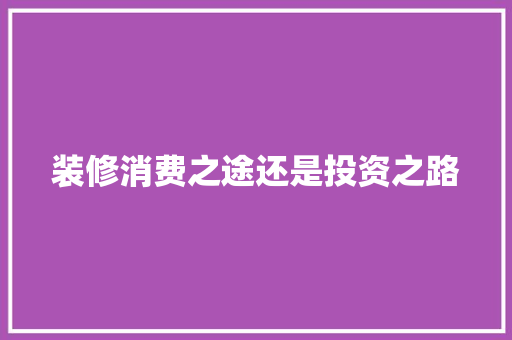 装修消费之途还是投资之路