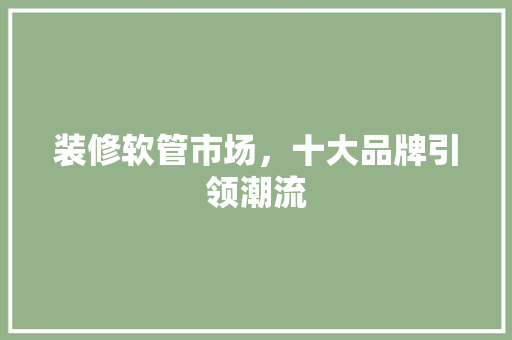 装修软管市场，十大品牌引领潮流
