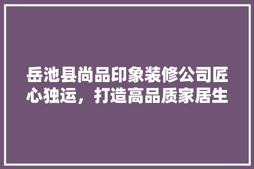 岳池县尚品印象装修公司匠心独运，打造高品质家居生活