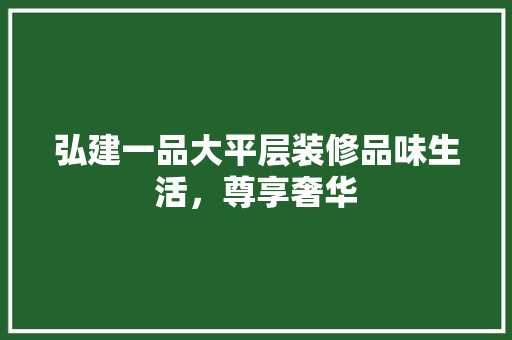 弘建一品大平层装修品味生活，尊享奢华