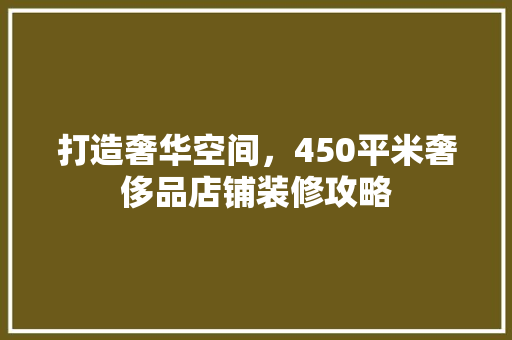 打造奢华空间，450平米奢侈品店铺装修攻略