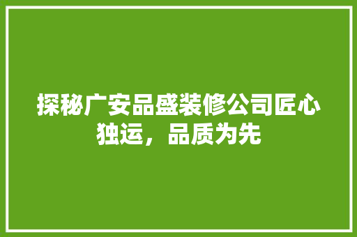 探秘广安品盛装修公司匠心独运，品质为先