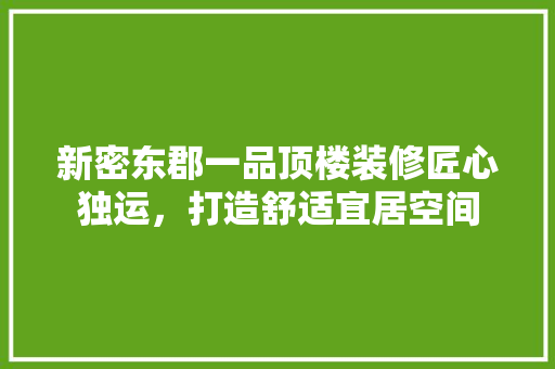 新密东郡一品顶楼装修匠心独运，打造舒适宜居空间
