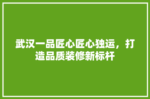 武汉一品匠心匠心独运，打造品质装修新标杆