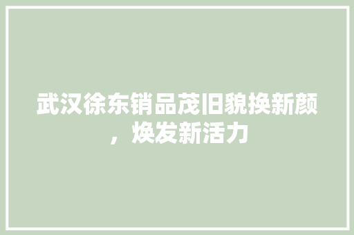 武汉徐东销品茂旧貌换新颜，焕发新活力 新型材料